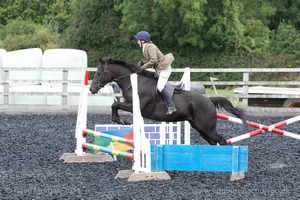 Class 3 -  Fences not above 2'3